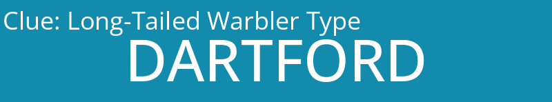 Long-Tailed Warbler Type