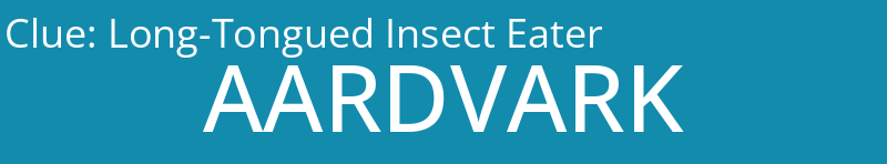 Long-Tongued Insect Eater