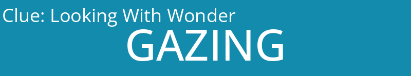 Looking With Wonder