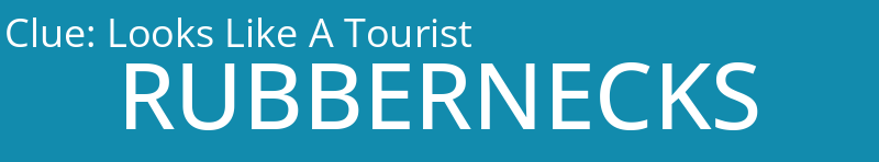 Looks Like A Tourist