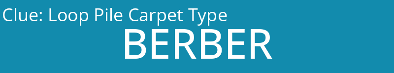 Loop Pile Carpet Type