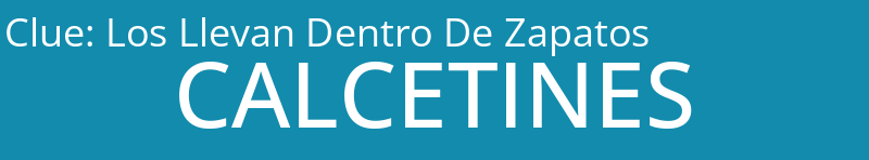 Los Llevan Dentro De Zapatos