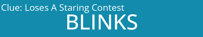 Loses A Staring Contest