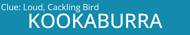 Loud, Cackling Bird