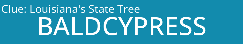 Louisiana's State Tree