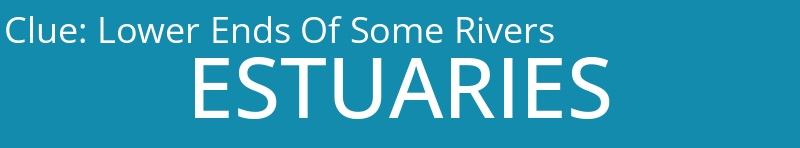 Lower Ends Of Some Rivers