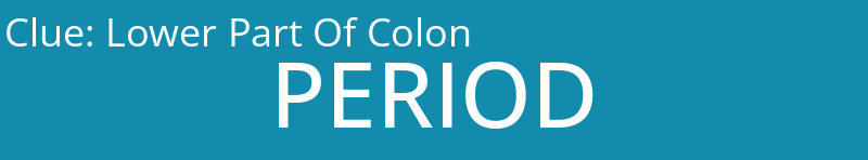 Lower Part Of Colon