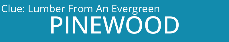 Lumber From An Evergreen