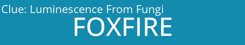 Luminescence From Fungi