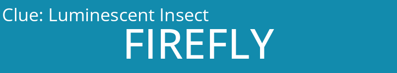 Luminescent Insect