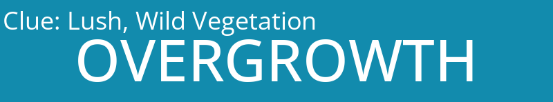 Lush, Wild Vegetation