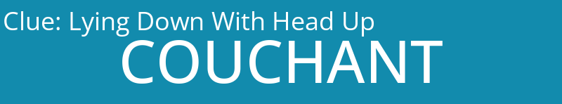 Lying Down With Head Up
