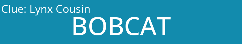 Lynx Cousin