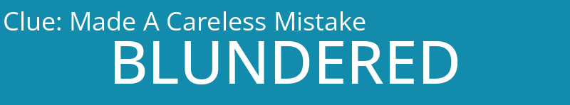 Made A Careless Mistake