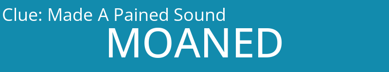 Made A Pained Sound