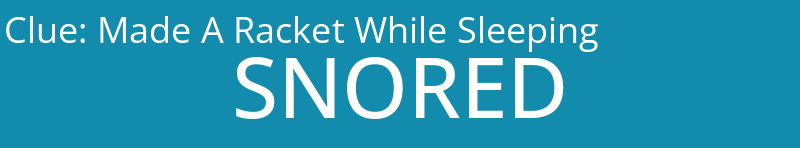 Made A Racket While Sleeping