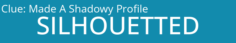 Made A Shadowy Profile