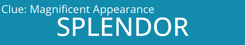 Magnificent Appearance