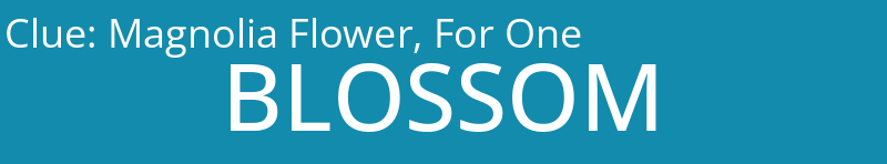 Magnolia Flower, For One