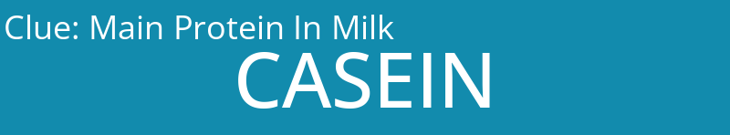 Main Protein In Milk