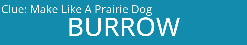Make Like A Prairie Dog