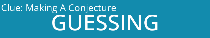 Making A Conjecture