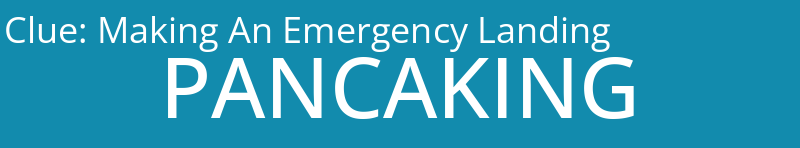 Making An Emergency Landing 