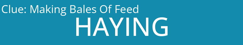 Making Bales Of Feed