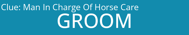 Man In Charge Of Horse Care
