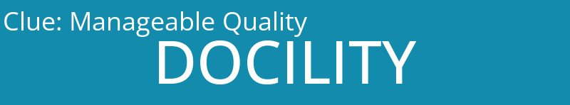 Manageable Quality