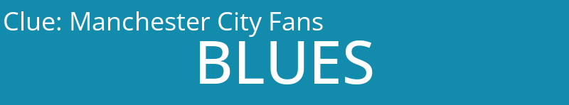 Manchester City Fans