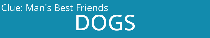 Man's Best Friends