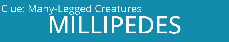 Many-Legged Creatures