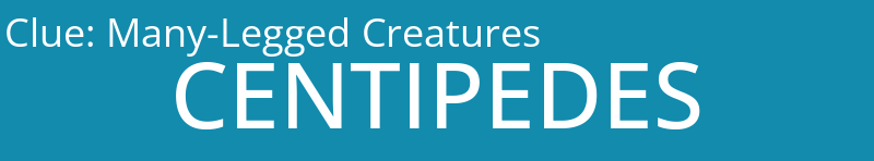 Many-Legged Creatures