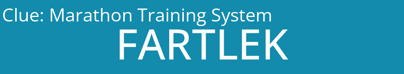 Marathon Training System