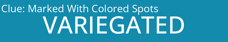 Marked With Colored Spots