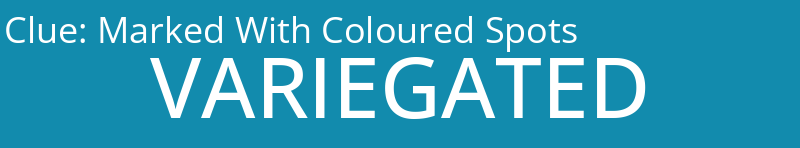 Marked With Coloured Spots