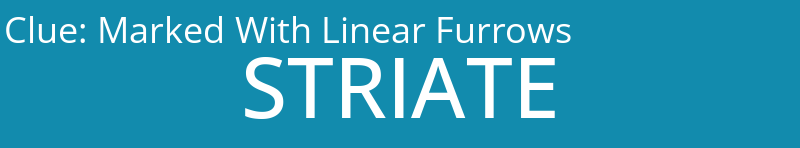 Marked With Linear Furrows
