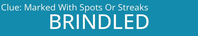 Marked With Spots Or Streaks