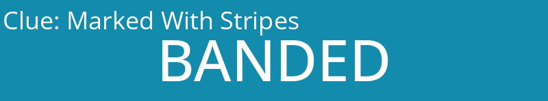 Marked With Stripes