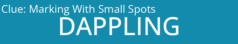 Marking With Small Spots