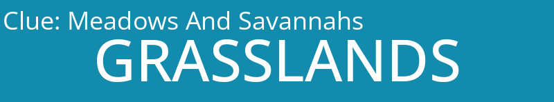 Meadows And Savannahs