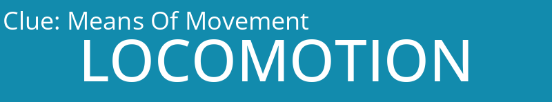 Means Of Movement