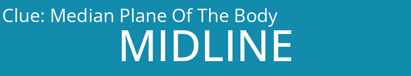 Median Plane Of The Body
