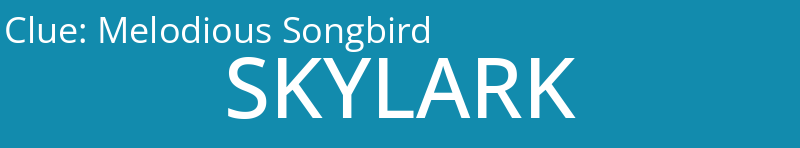Melodious Songbird