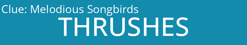 Melodious Songbirds
