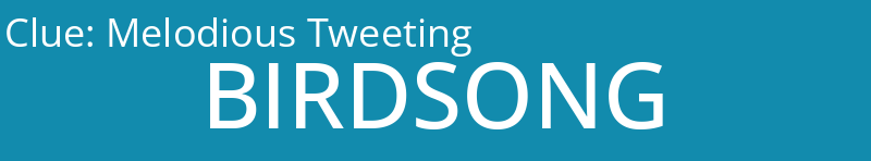 Melodious Tweeting