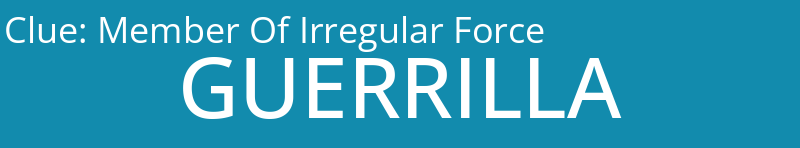 Member Of Irregular Force