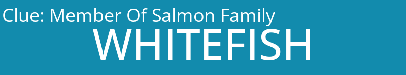 Member Of Salmon Family