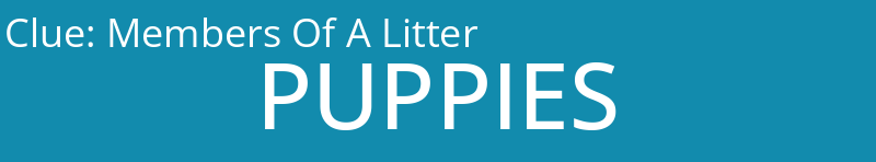 Members Of A Litter